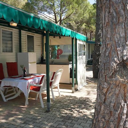 Chalets Met Buitenkeuken Op Camping Lei Suves - Joycasa Roquebrune-sur Argens Dış mekan fotoğraf