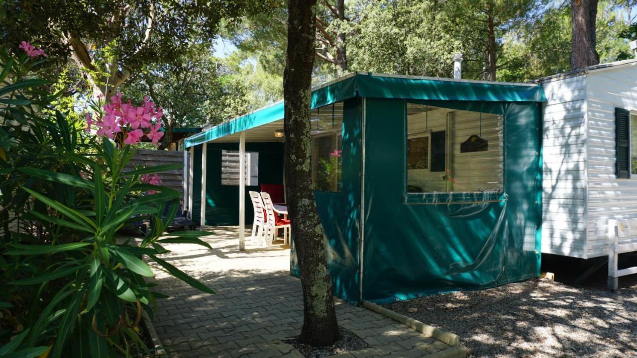 Chalets Met Buitenkeuken Op Camping Lei Suves - Joycasa Roquebrune-sur Argens Dış mekan fotoğraf