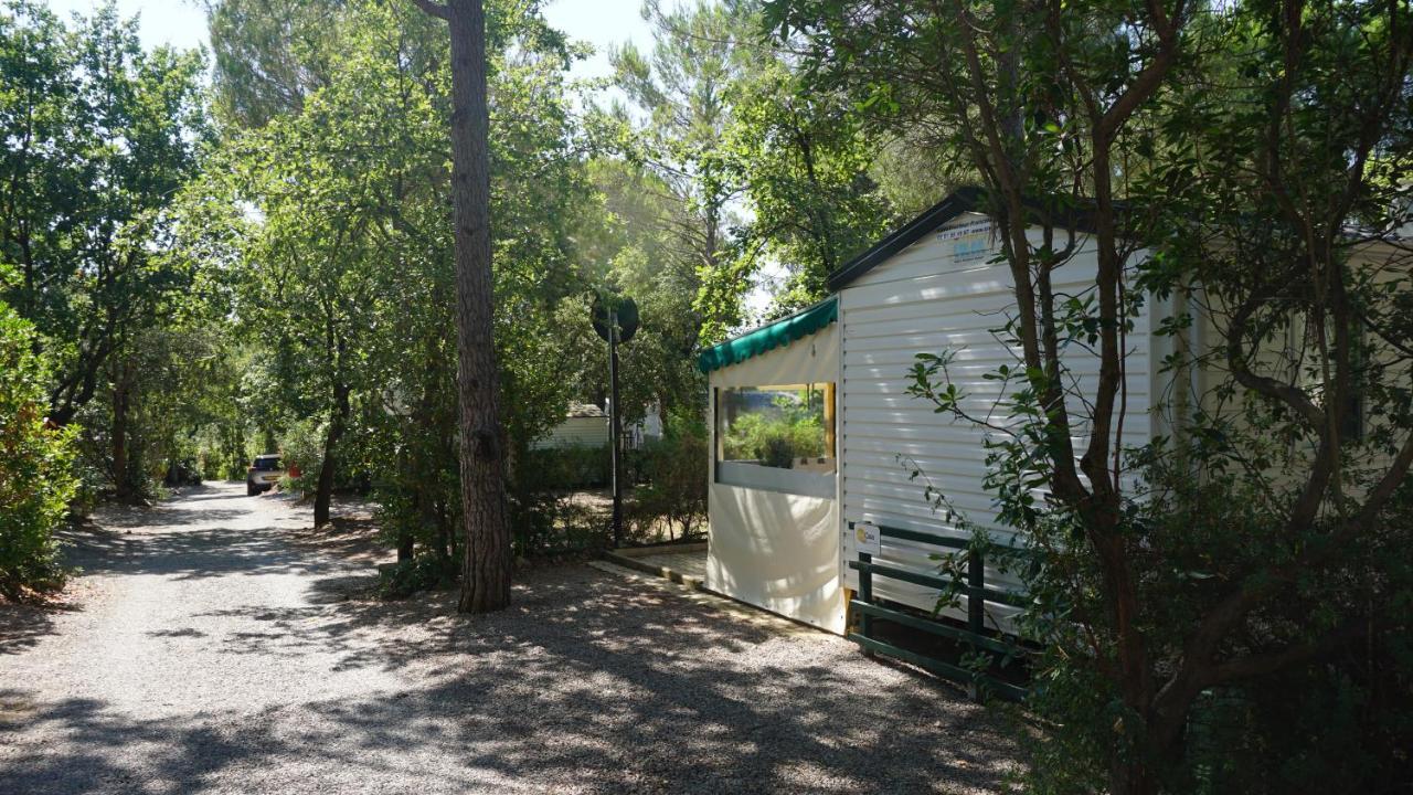 Chalets Met Buitenkeuken Op Camping Lei Suves - Joycasa Roquebrune-sur Argens Dış mekan fotoğraf