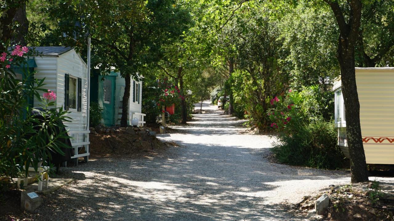 Chalets Met Buitenkeuken Op Camping Lei Suves - Joycasa Roquebrune-sur Argens Dış mekan fotoğraf