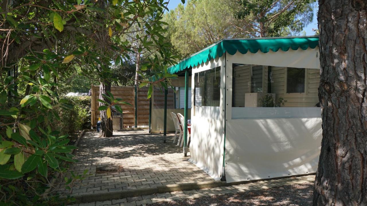 Chalets Met Buitenkeuken Op Camping Lei Suves - Joycasa Roquebrune-sur Argens Dış mekan fotoğraf
