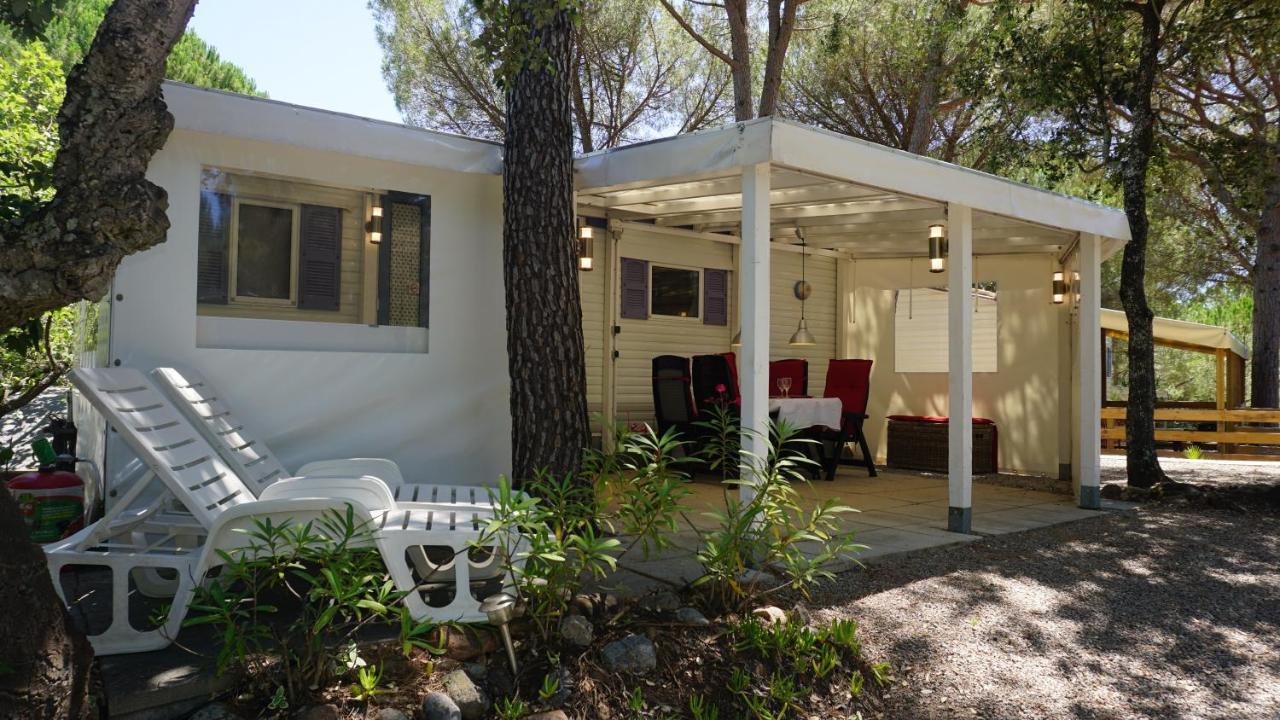 Chalets Met Buitenkeuken Op Camping Lei Suves - Joycasa Roquebrune-sur Argens Dış mekan fotoğraf