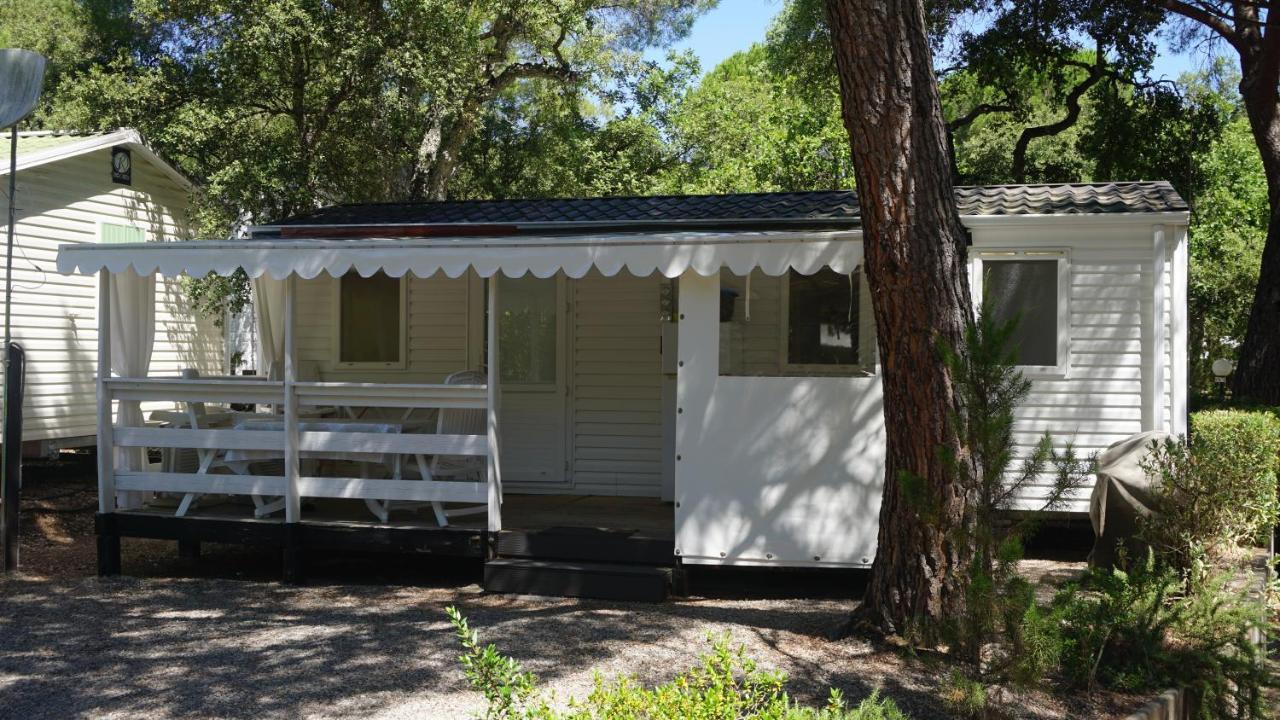 Chalets Met Buitenkeuken Op Camping Lei Suves - Joycasa Roquebrune-sur Argens Dış mekan fotoğraf