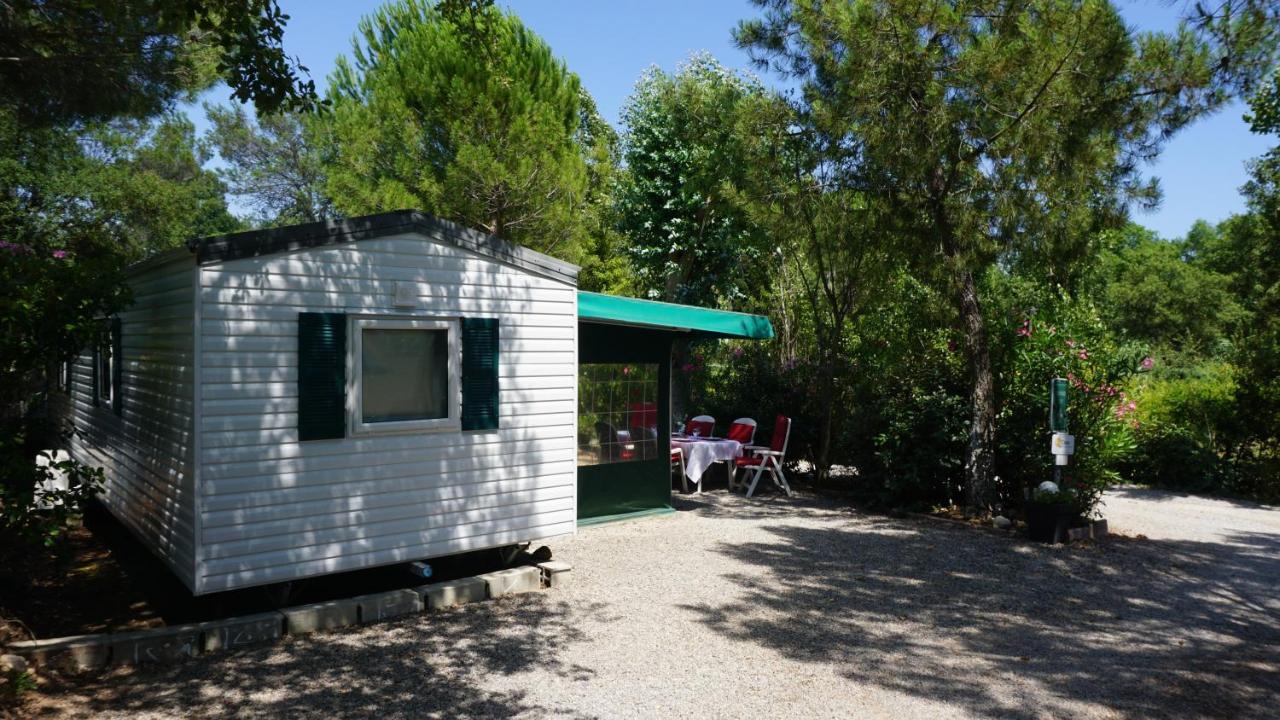 Chalets Met Buitenkeuken Op Camping Lei Suves - Joycasa Roquebrune-sur Argens Dış mekan fotoğraf