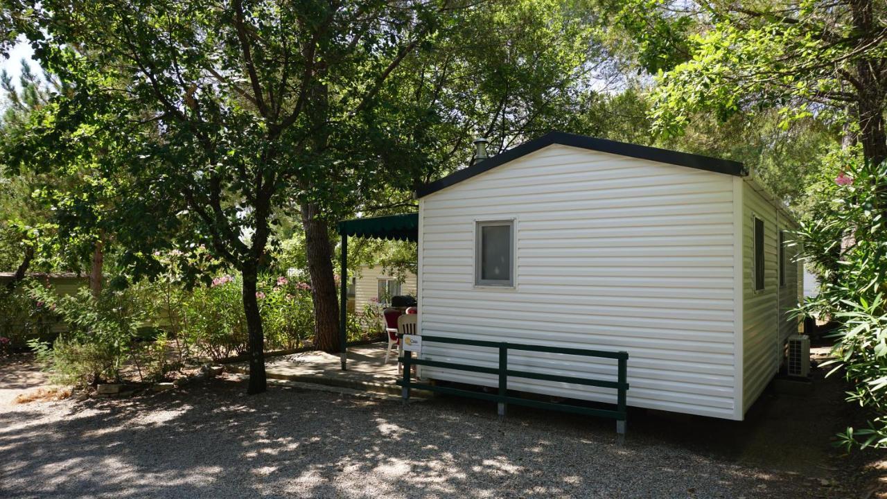 Chalets Met Buitenkeuken Op Camping Lei Suves - Joycasa Roquebrune-sur Argens Dış mekan fotoğraf