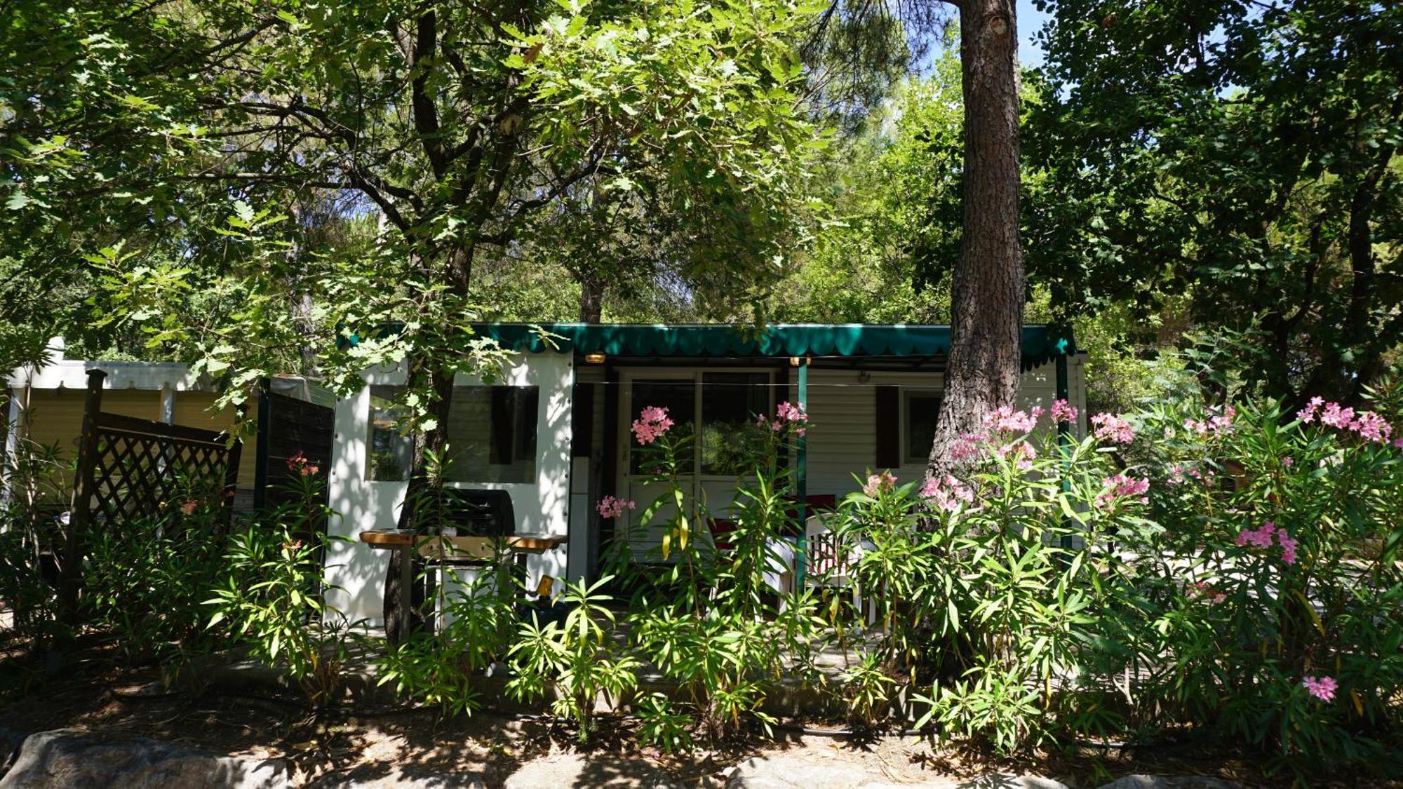Chalets Met Buitenkeuken Op Camping Lei Suves - Joycasa Roquebrune-sur Argens Oda fotoğraf
